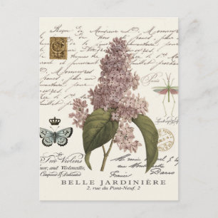 vintagens Fransk Lilacs Vykort