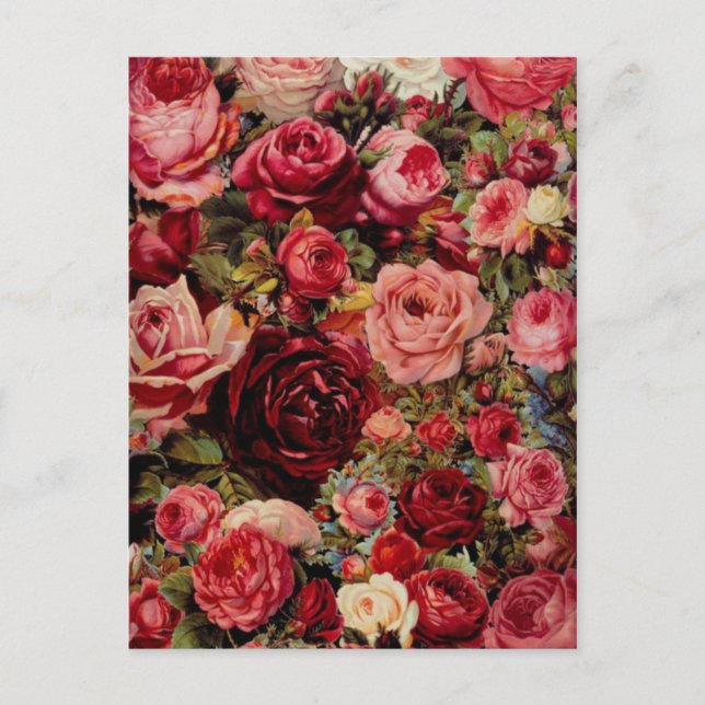 Vintagens grafikkort vykort (Framsida)