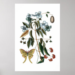 Vintagens grönt botanisk poster