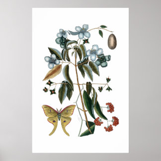 Vintagens grönt botanisk poster