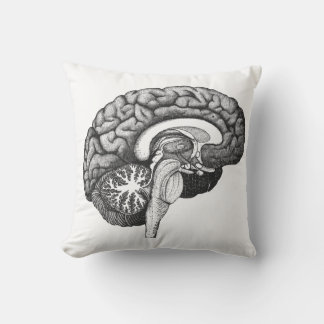 Vintagens medicinska anatomi illustration av männi kudde