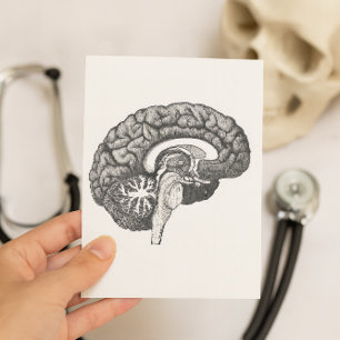 Vintagens medicinska anatomi illustration av männi vykort