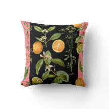 Vintagens Orangar och citroner med Rosa accent