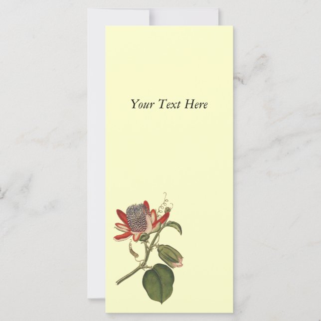 Vintagens passionsblomma (Framsida)