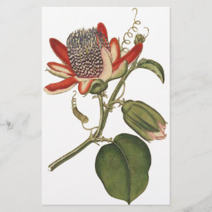 Vintagens passionsblomma brevpapper