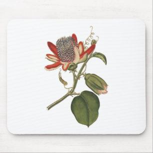 Vintagens passionsblomma musmatta