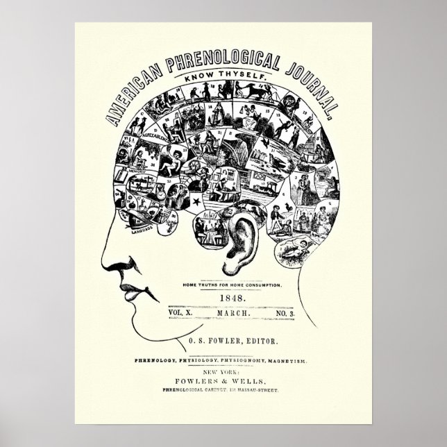 Vintagens Phrenology Poster (Framsidan)