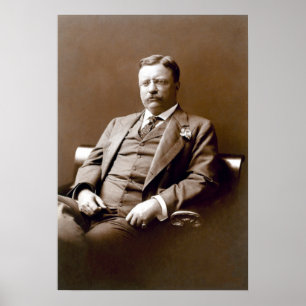 Vintagens president Theodore Teddy Roosevelt Poster