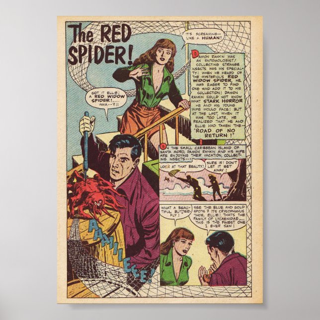 Vintagens Tecknad Poster (Framsidan)