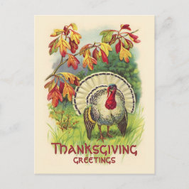 Vintagens Thanksgiving Turkiet vykort
