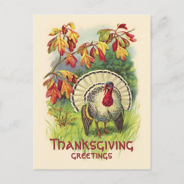 Vintagens Thanksgiving Turkiet vykort (Framsida)