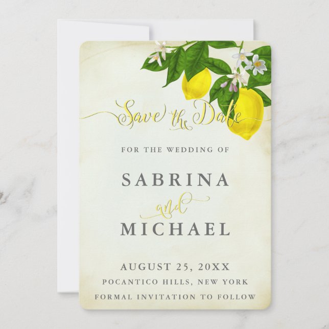 Vintagens vattenfärgslektioner Spara datum Spara Datumet (Framsida)