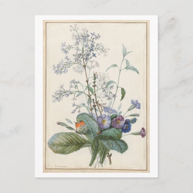 Vintagens vykort (Framsida)