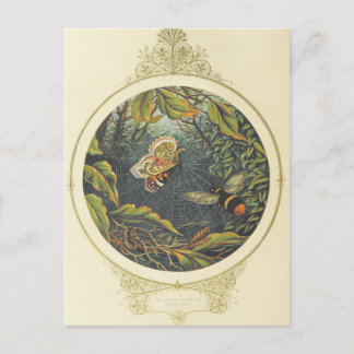 Vintagens vykort för Insekt