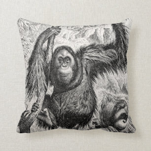 VintageOrangutanillustration - apa 1800's Kudde