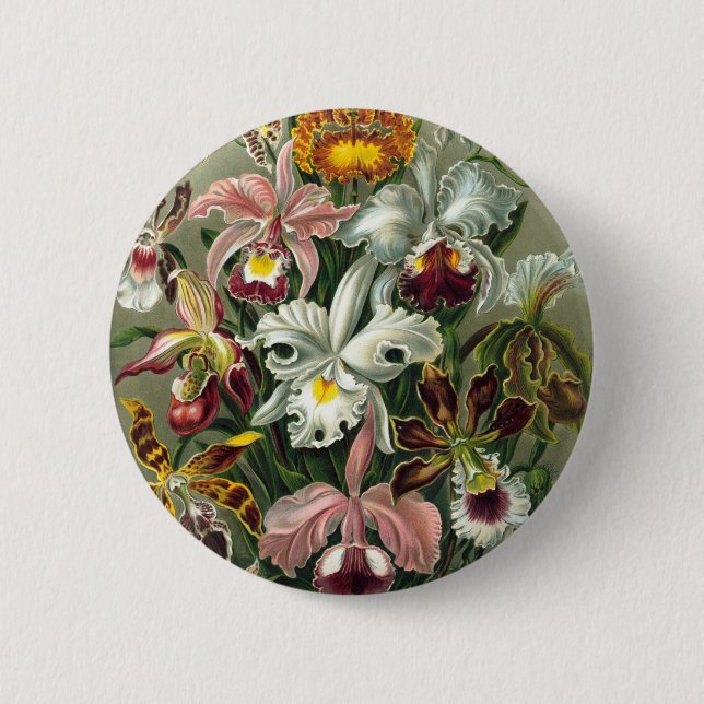 VintageOrchidsillustration Knapp (Framsida)