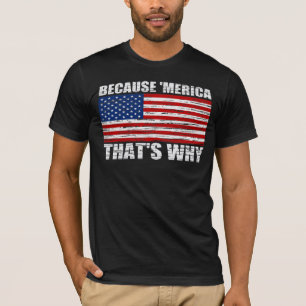 Vintageoriginal DÄRFÖR ATT 'MERICA SOM ÄR VARF Tee Shirt