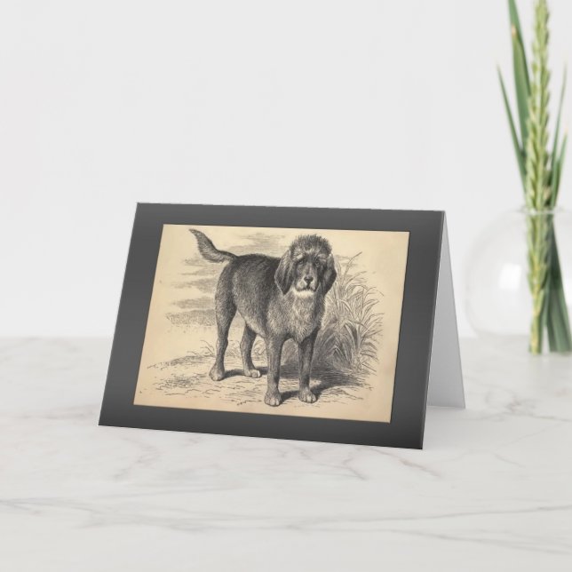 VintageOtterhoundhälsningar Kort (Framsida)