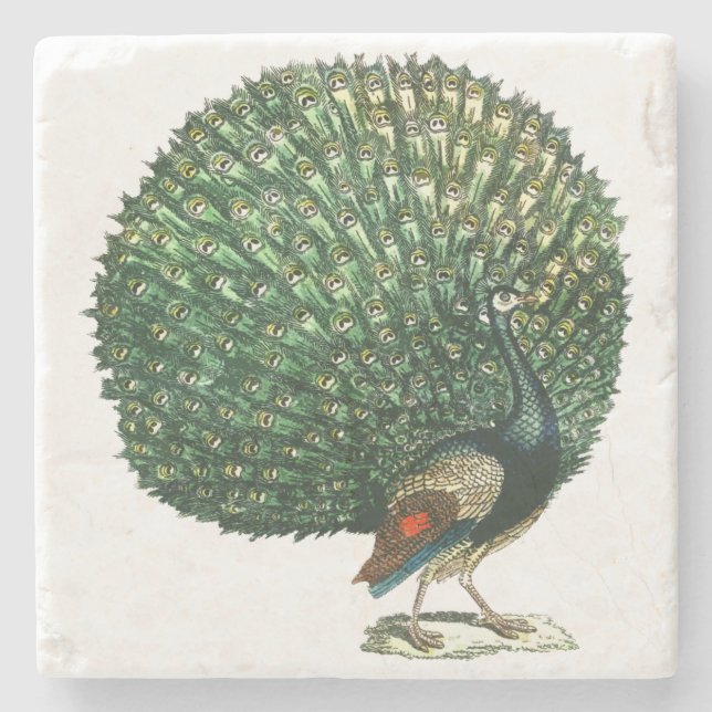 Vintagepåfågel Stenunderlägg (Framsidan)