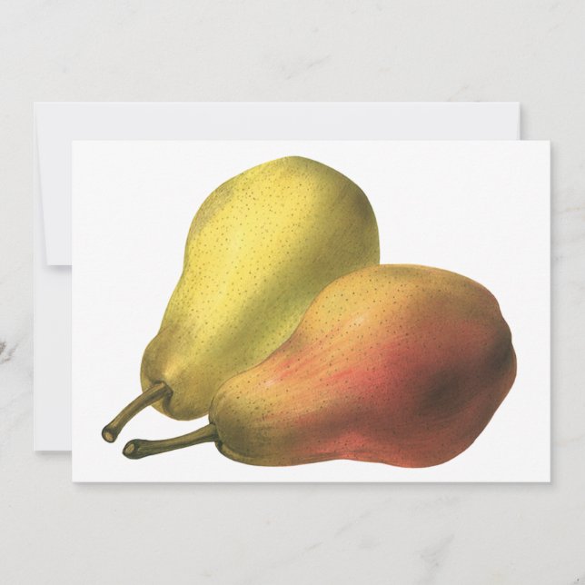 Vintagepäron, ekologiska livsmedel, mogna frukter (Framsida)