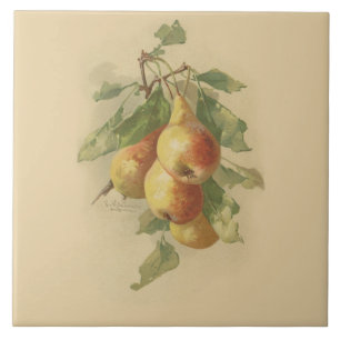 Vintagepears Kakelplatta