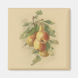 Vintagepears Magnet