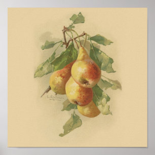 Vintagepears Poster