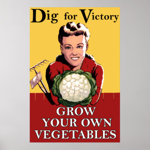 Vintagepik för segeraffisch poster