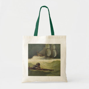 Vintagepirater, Covenants skeppsbrott av NC Wyeth Tygkasse