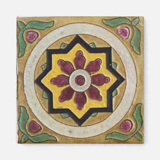 Vintageplattor Magnet