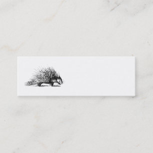 VintagePorcupineillustration - Porcupines 1800's Mini Visitkort