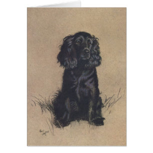 Vintageporträtt av en cockerspanielSpaniel, Hälsningskort