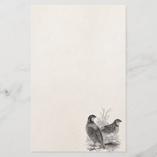 VintageQuailfåglar - personifierad Retro modig Brevpapper