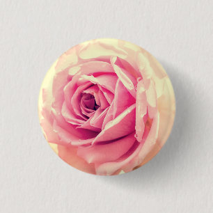 Vintagerosa rosblommor knapp
