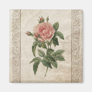 Vintagerosa rosmagnet magnet