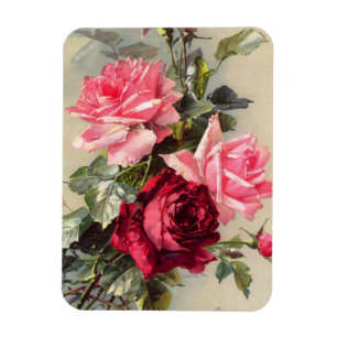 Vintagerosor och röd rosmagnet magnet