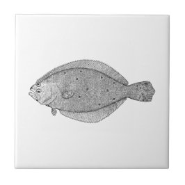 VintageSaltwaterfisk (sommarflundran) Kakelplatta