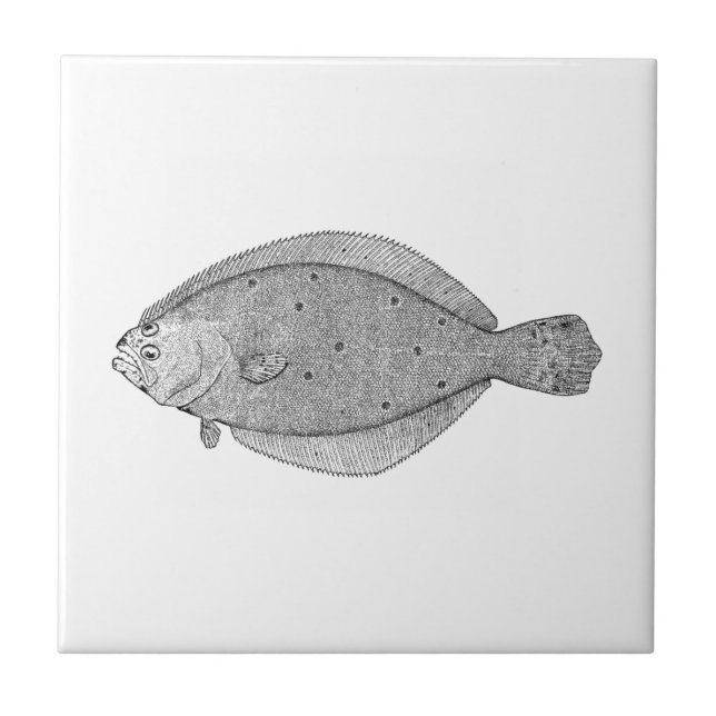 VintageSaltwaterfisk (sommarflundran) Kakelplatta (Framsidan)