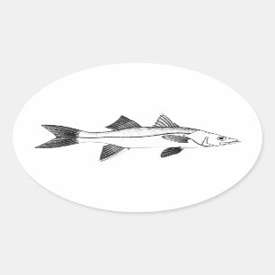 VintageSaltwaterfiske - Snook Ovalt Klistermärke
