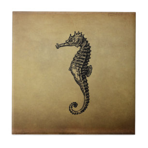 VintageSeahorseillustration Kakelplatta
