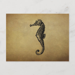 VintageSeahorseillustration Vykort