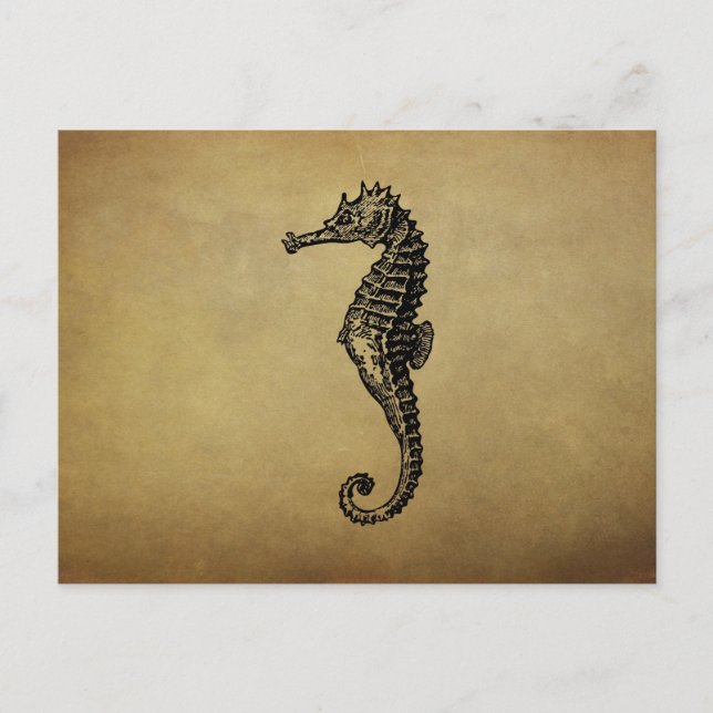 VintageSeahorseillustration Vykort (Framsida)