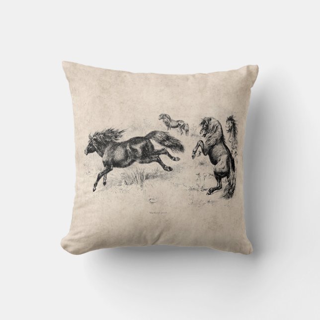 VintageShetland ponnyer - häst 1800's och ponny Kudde (Framsida)