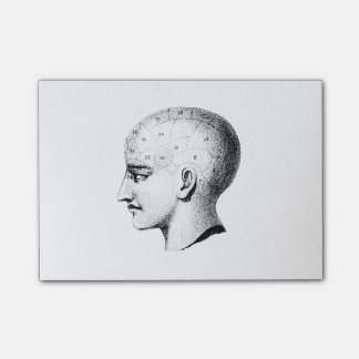 Vintageskalleanatomi kartlägger postar det noterar post-it block
