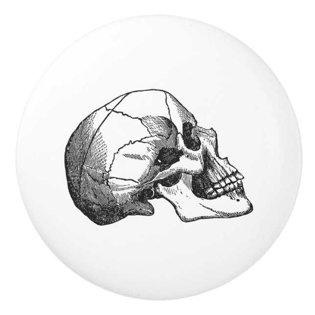 vintageskallen profilerar illustrationsvart knopp (Framsidan)