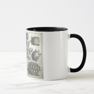 Vintagesköldpaddaetsning Mugg