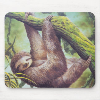 VintageSlothillustration Musmatta