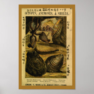 Vintagesnäckorostronen langetterar konsttrycket poster