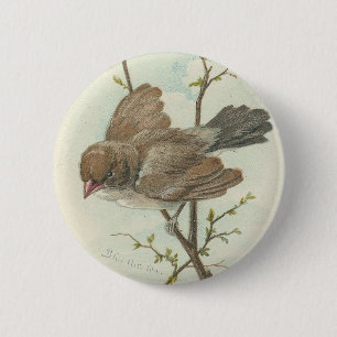 VintageSparrow Knapp