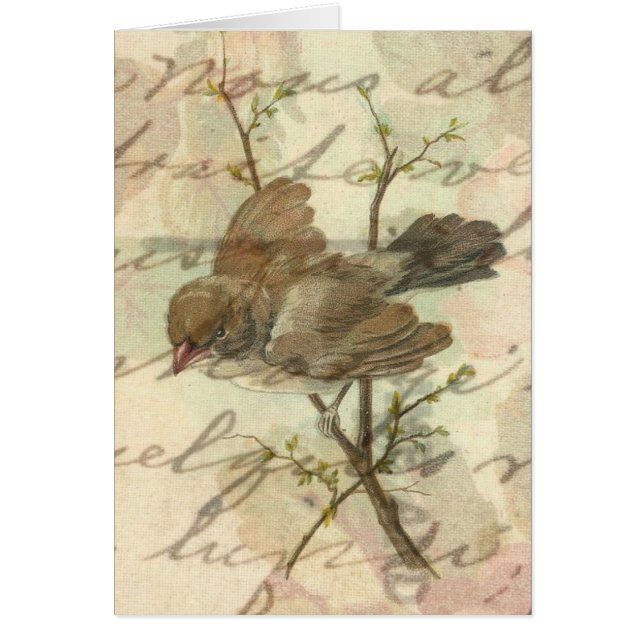 VintageSparrow med handskriven bakgrund Hälsningskort (Framsidan)